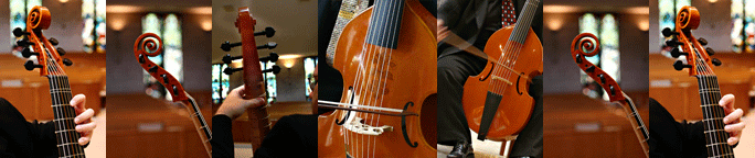 Viols In Our Schools